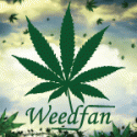 weedfan's Avatar