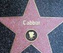 cabbar's Avatar