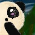 pandapop's Avatar