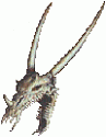 Dracol1ch's Avatar