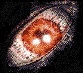 rotop's Avatar