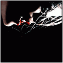 CountV's Avatar