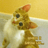 caramelcat's Avatar