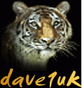 dave1uk's Avatar