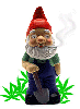 pickler99's Avatar