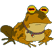 frogboyj's Avatar