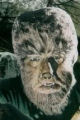Wolfieman's Avatar