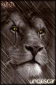 UncleScar's Avatar