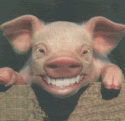 firepig's Avatar
