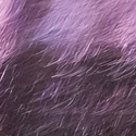 peebanana's Avatar