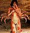 Mrs Darnell's Avatar