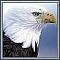 Chessking's Avatar