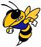 thehornets's Avatar