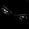 GS1905's Avatar