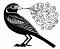 BlackBird_'s Avatar