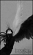 Phase's Avatar