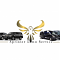 sprinterlimoser's Avatar