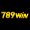 789wingamescom's Avatar
