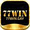 77wingaytop's Avatar