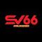 sv66business's Avatar