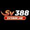 sv388kme's Avatar