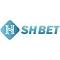 shbettsnet's Avatar
