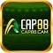 cap88cam's Avatar
