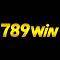 789winklukcom's Avatar